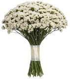 Bouquet of White Limonium