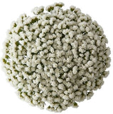 Bouquet of White Limonium - Flowers Box London