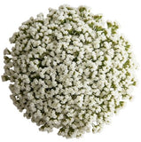 Bouquet of White Limonium