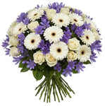 Bouquet of White Roses and Gerberas with Blue Agapanthus - Flowers Box London