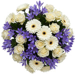 Bouquet of White Roses and Gerberas with Blue Agapanthus - Flowers Box London
