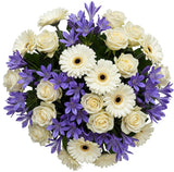 Bouquet of White Roses and Gerberas with Blue Agapanthus - Flowers Box London