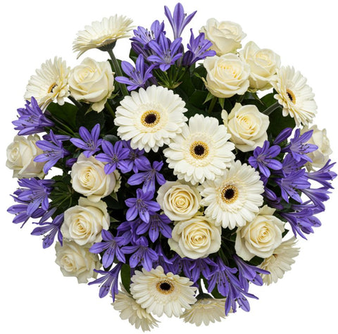 Bouquet of White Roses and Gerberas with Blue Agapanthus - Flowers Box London