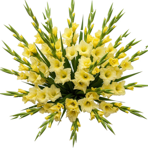Bouquet of Yellow Gladiolus