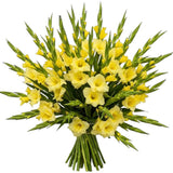 Bouquet of Yellow Gladiolus - Flowers Box London