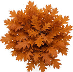 Bouquet Orange Oak Leaves