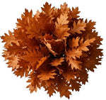 Bouquet Orange Oak Leaves