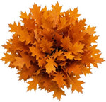 Bouquet Orange Oak Leaves