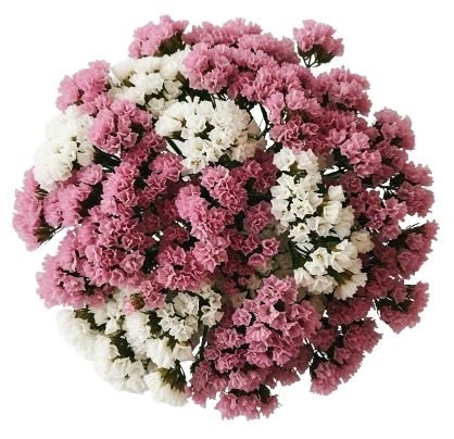 Bouquet Pink and White Limonium - Flowers Box London