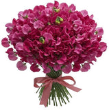 Bouquet Pink Sweet Pea