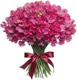 Bouquet Pink Sweet Pea