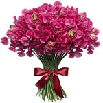 Bouquet Pink Sweet Pea