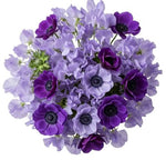 Bouquet Sweet Pea and Anemone