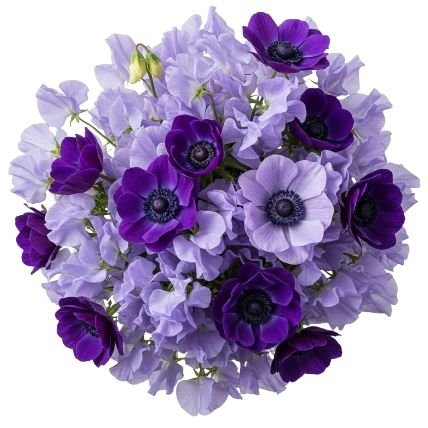Bouquet Sweet Pea and Anemone - Flowers Box London