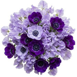 Bouquet Sweet Pea and Anemone - Flowers Box London