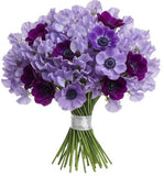 Bouquet Sweet Pea and Anemone
