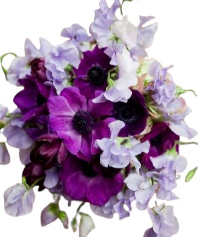 Bouquet Sweet Pea and Anemone