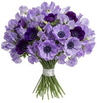 Bouquet Sweet Pea and Anemone