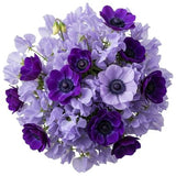 Bouquet Sweet Pea and Anemone