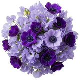 Bouquet Sweet Pea and Anemone - Flowers Box London