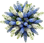Bouquet White and Blue Delphinium - Flowers Box London
