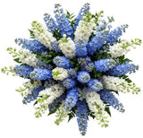 Bouquet White and Blue Delphinium