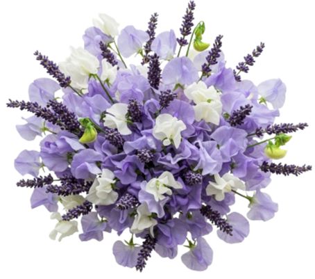 Bouquet White and Violet Sweet Pea with Aromatic Lavender