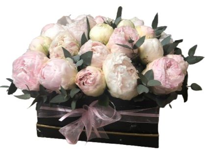 Box of Beautiful Pink and White Peonies with Greenery
