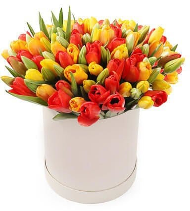 Box of Bright Colored Tulips - Flowers Box London