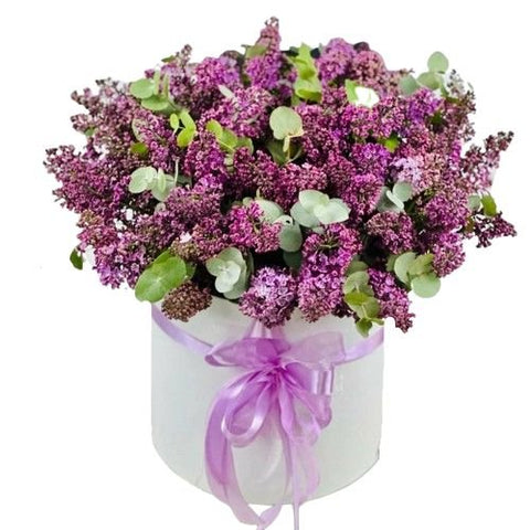 Box of Fragrant Lilac Flower with Eucalyptus - Flowers Box London