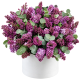 Box of Fragrant Lilac Flower with Eucalyptus - Flowers Box London