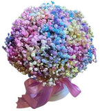 Box with a Colourful Gypsophila - Flowers Box London