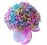 Box with a Colourful Gypsophila - Flowers Box London