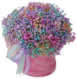 Box with a Colourful Gypsophila - Flowers Box London