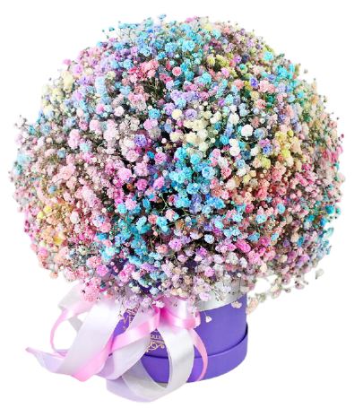 Box with a Colourful Gypsophila