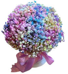 Box with a Colourful Gypsophila