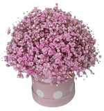 Box with Pink Gypsophila - Flowers Box London