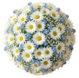 Bridal Bouquet of Daisy and Forget Me Not - Flowers Box London