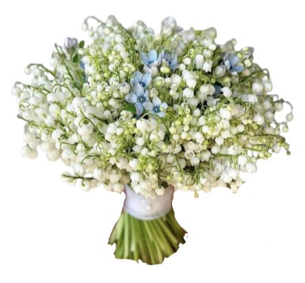 Bridal Bouquet of Lily of the Valley and Oxyetalum