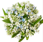 Bridal Bouquet of Lily of the Valley and Oxyetalum - Flowers Box London