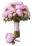 Bridal Bouquet of Luxury Peonies