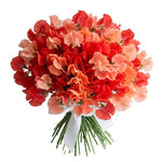 Bright Bouquet of Red and Coral Sweet Pea