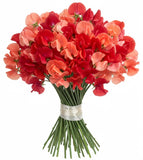 Bright Bouquet of Red and Coral Sweet Pea