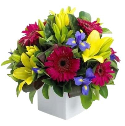 Bright Lily and Gerbera Signature Box - Flowers Box London