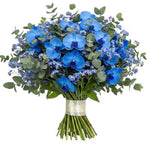 Buquet of Forget Me Not with Blue Phalaenopsis Orchids
