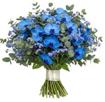 Buquet of Forget Me Not with Blue Phalaenopsis Orchids - Flowers Box London
