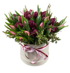 Burgundy and Pink Rafined Tulips in Box