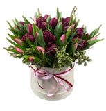 Burgundy and Pink Rafined Tulips in Box