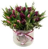 Burgundy and Pink Rafined Tulips in Box - Flowers Box London