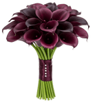 Burgundy Calla Lily Bouquet - Flowers Box London